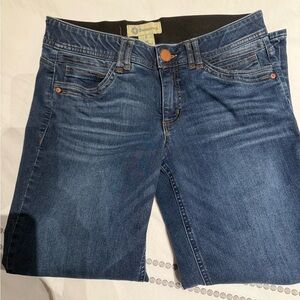 Democracy Ab Technology high waist skinny blue jean
Size 8